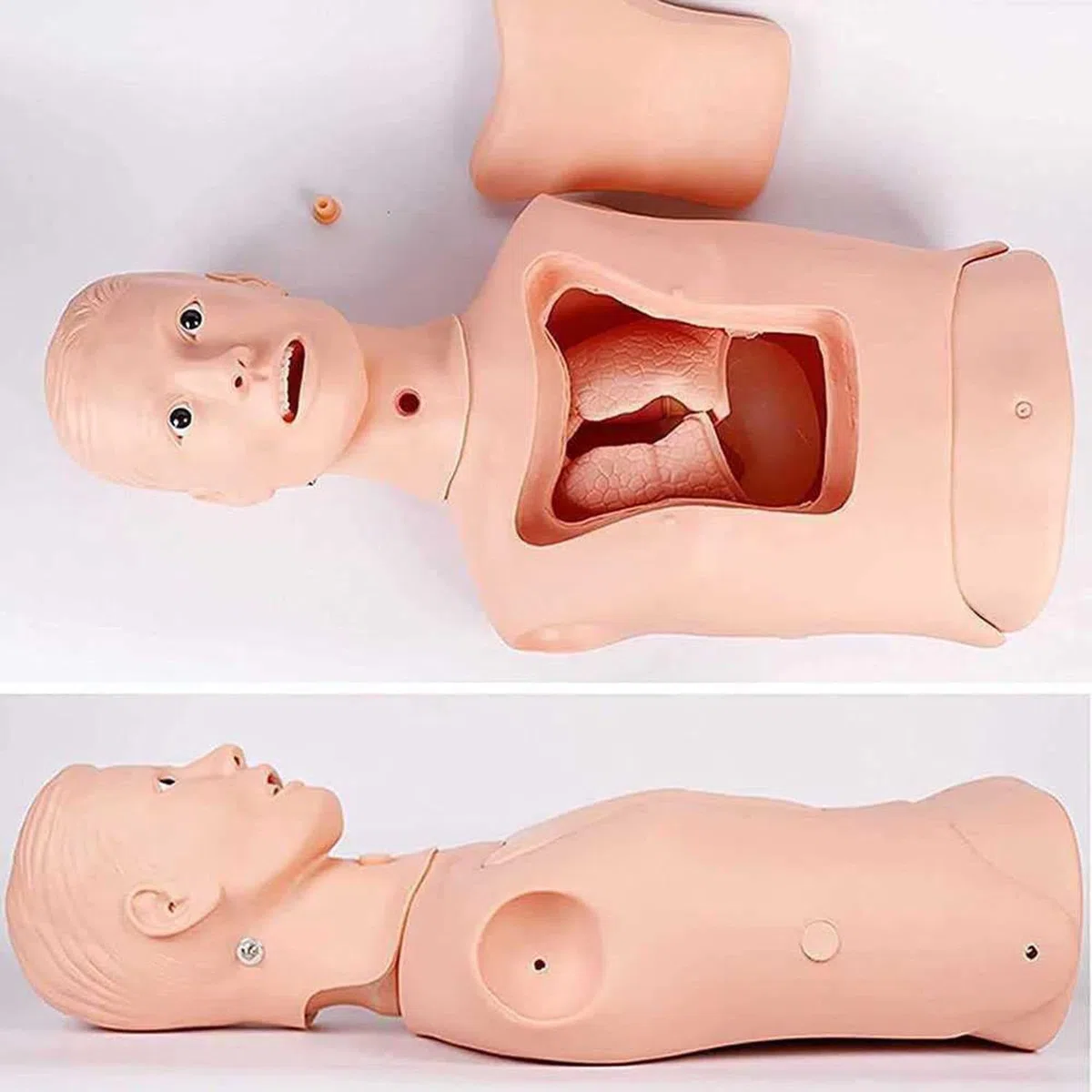 Modèle de tube gastrique d'intubation Mannequin d'entraînement Tube nasogastrique avancé et modèle de soins de la trachée Lavage gastrique Modèle de trachéotomie pour infirmières et étudiants en