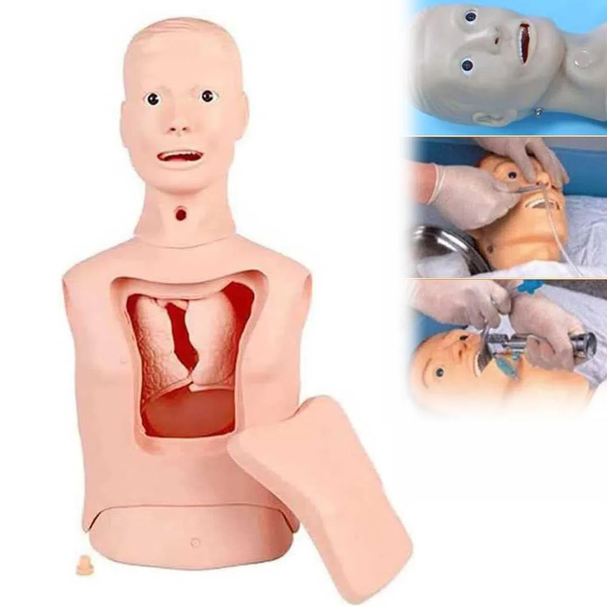 Modèle de tube gastrique d'intubation Mannequin d'entraînement Tube nasogastrique avancé et modèle de soins de la trachée Lavage gastrique Modèle de trachéotomie pour infirmières et étudiants en