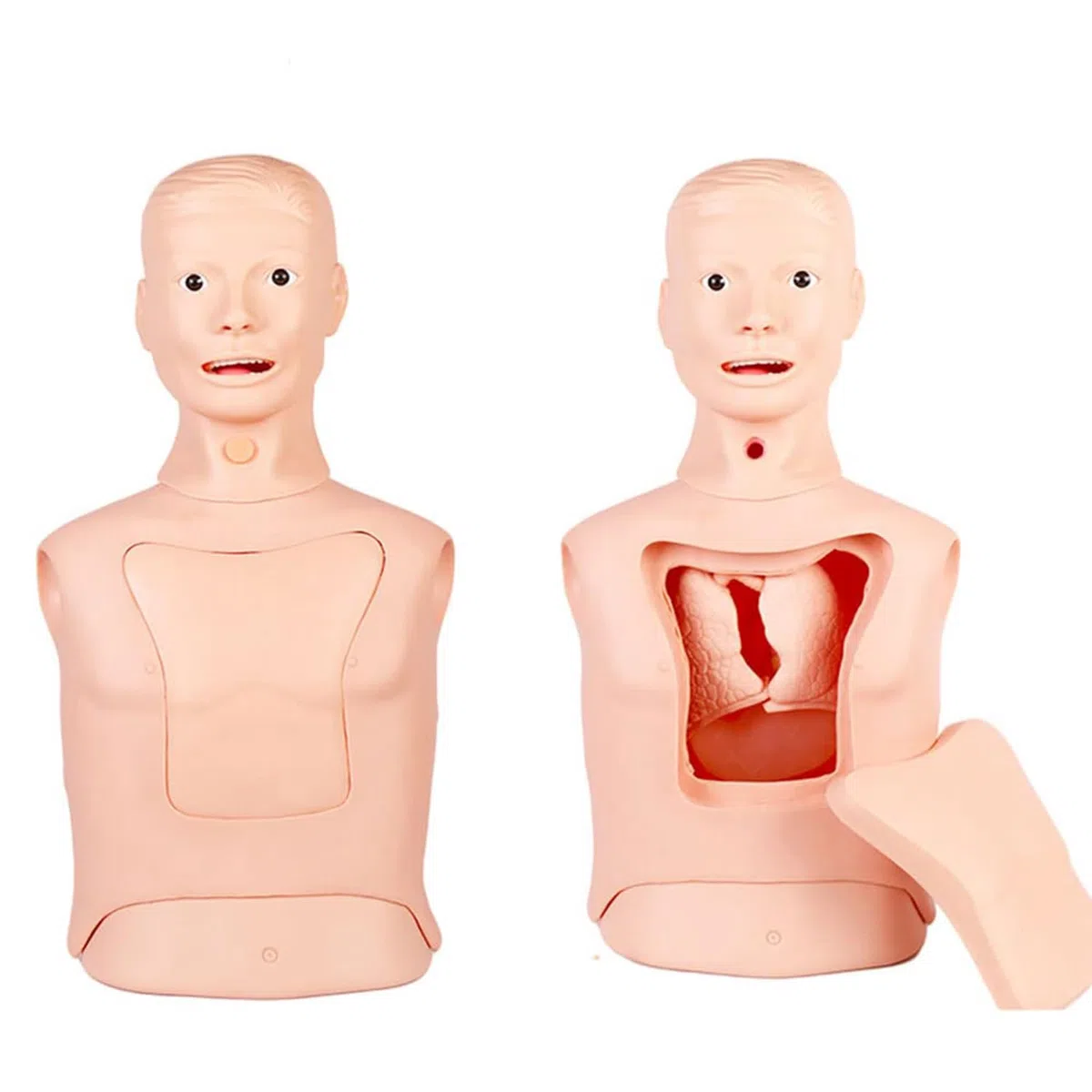 Modèle de tube gastrique d'intubation Mannequin d'entraînement Tube nasogastrique avancé et modèle de soins de la trachée Lavage gastrique Modèle de trachéotomie pour infirmières et étudiants en